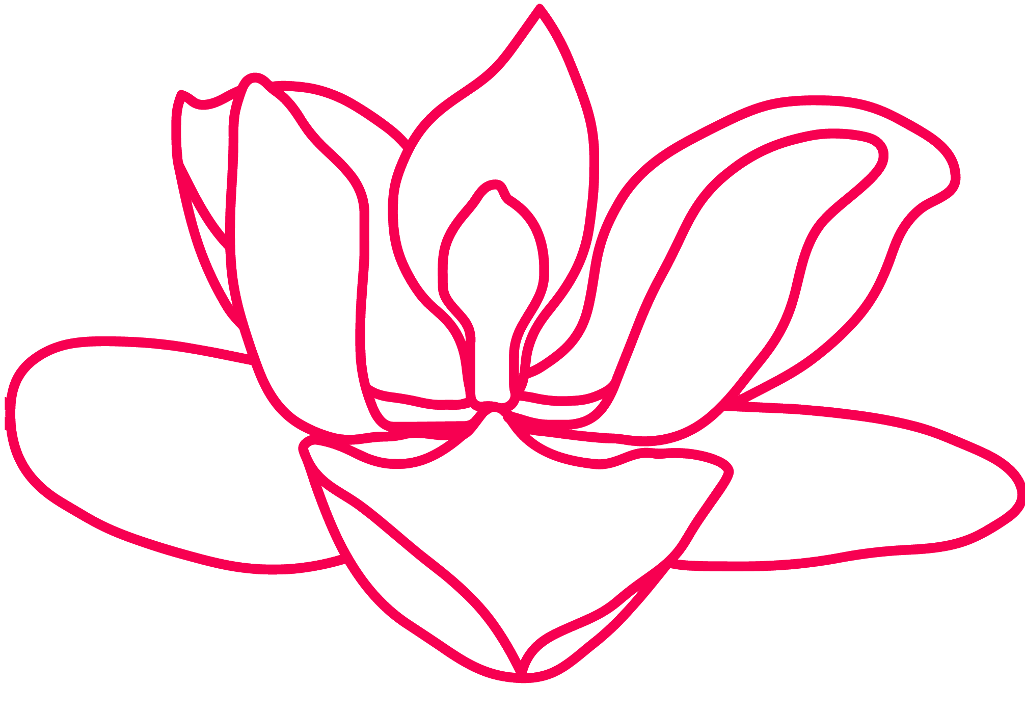 Logo rosa Magnolia Blanca - Próximamente